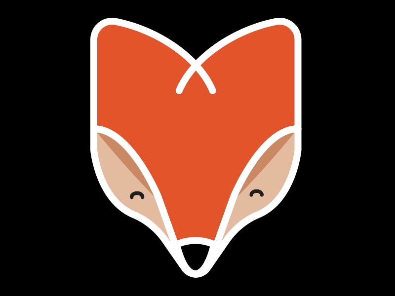 Foxy Wink fox fun wink