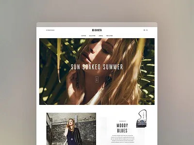 BB Dakota browser design digital e commerce fashion images web