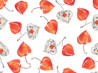 Physalis watercolor pattern nature pattern physalis watercolor