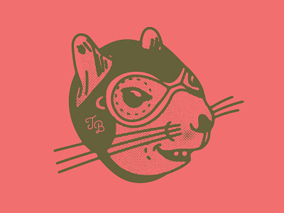 Bomber bomber brand elements elements illustration pilot plane squirrel