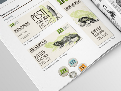 Museum Branding branding museum natural history ticket typography