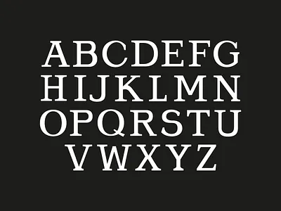 "Navy Pier" Font chicago navy pier old type signage