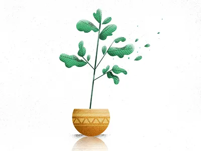 fiddle leaf fig drawing illustration leaf photoshop plant sketch texture warmup wind