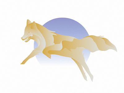 Fox animal fox gold nature snow