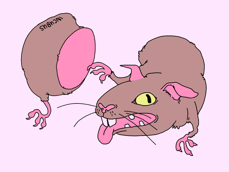 Guinea P animation cel character flash guinea pig museum mouth