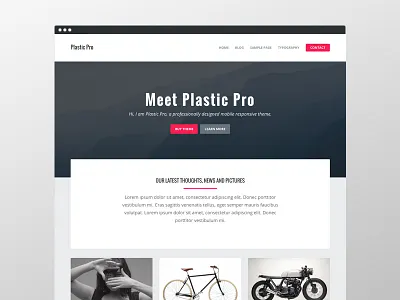 Plastic Pro clean genesis homepage masonry theme ui ux