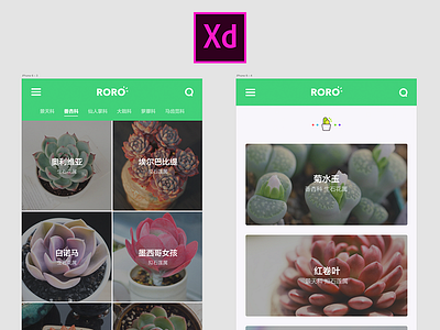 Roro app、xd