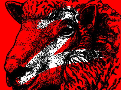 Not 4 Sheep 2 conference creative dc hand drawn russian constructivism sheep tech unconference