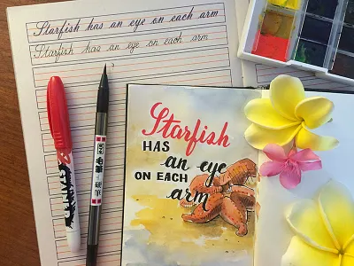 Practice calligraph cursive writing custom type illustration lettering script sharpie sketch starfish typography