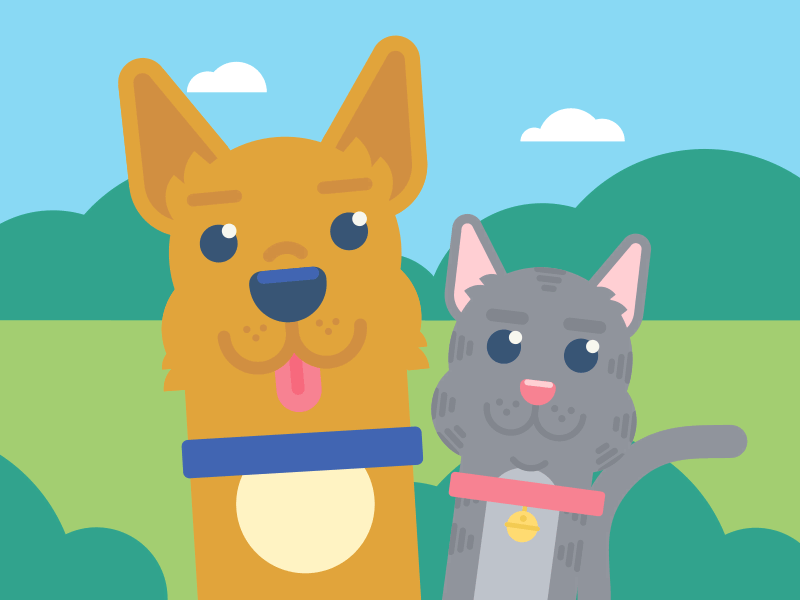 Cats & Dogs ¯\_(ツ)_/¯ 2d cat corgi dog facebook kitty