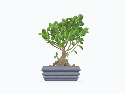 Things found in the office series bonsai illustration plant tree vector