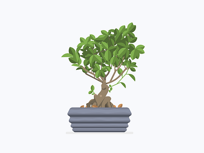 Things found in the office series bonsai illustration plant tree vector