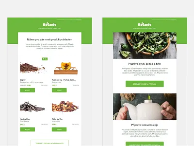 Newsletter templates botanic clean green newsletter template
