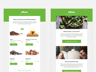 Newsletter templates botanic clean green newsletter template