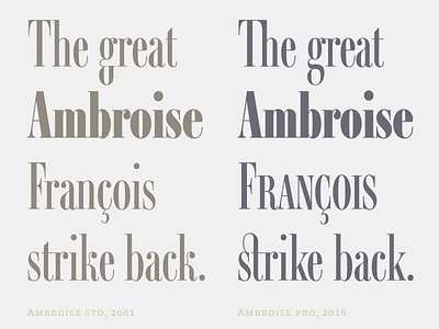 Ambroise Pro François ambroise didot fonts opentype pro typefaces typography