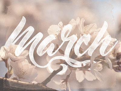 March custom type custom typography flowers lettering ligatures march months pen tool spring type typography