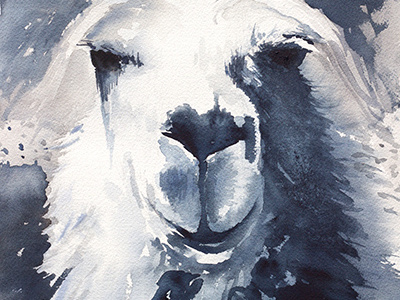 llama love grayscale grin illustration llama painting portrait smile watercolor