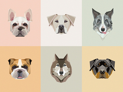 Geometric dogs collection animals border collie dogs english bulldog french bulldog husky icons illustrations labrador pets rottweiler vectors