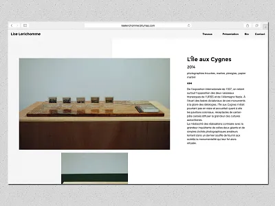 Portfolio visual artist flat grid portfolio