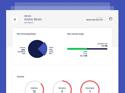 Overview UI chart clean dashboard design graph interface ipad line overview pie ui ux