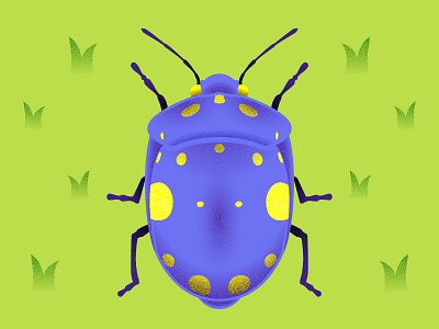 Beetle beetle bug grain grass illustration insect texture vector