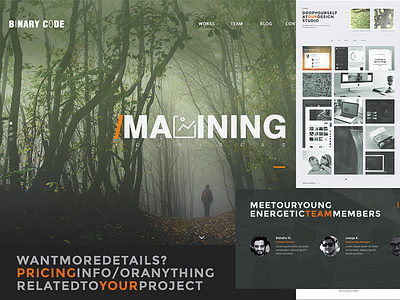 BinaryCode Inc agency binary code design imagining media pakistan photography portfolio showcase teamwork web design