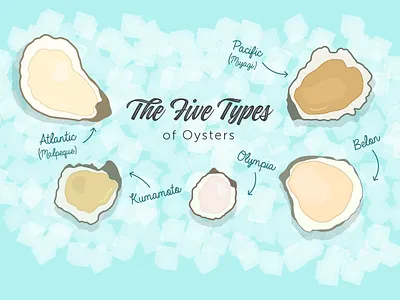 The Five Types Of Oysters half shell ice infographic oyster bar oysters