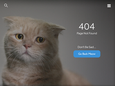 DailyUI - #008 - 404 Error 404 dailyui error sad cat