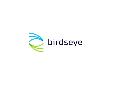 Birdeye - wip bird eye logo
