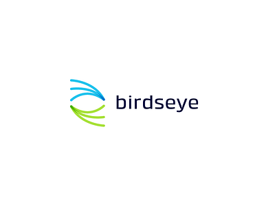 Birdeye - wip bird eye logo