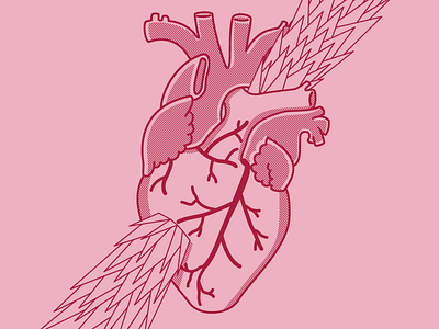 Heart Problems abstract anatomy color design heart illustration illustrator lines pink red shading vector