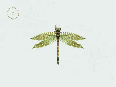 For the Wild at Heart botany branding collage dragonfly illustration insect