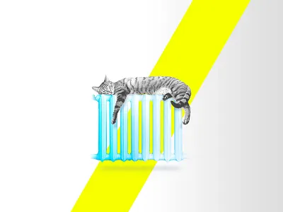 Cat on radiator battery cat contrast radiator yellow
