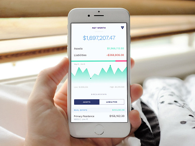 Net Worth Report app design graph ios product design reports ui ux