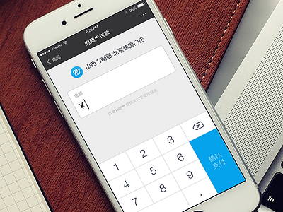 Day102 - Pay gui ios iphone6s ue ui ux