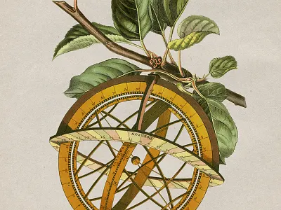 57 Transverse3 astronomy botanical branch collage strng vintage