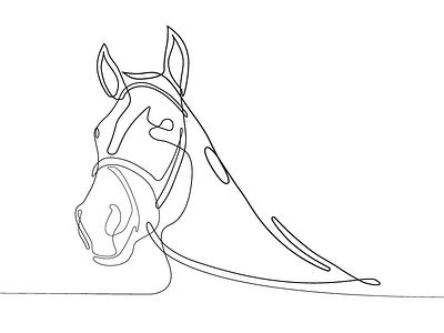 Horse horse horse head illustrator line line drawing single line single stroke stroke