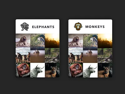 Animal Cards animals cards illustrations