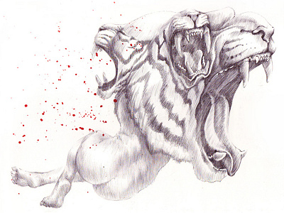 paper tiger ballpoint drawing illustration tiger