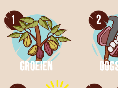 Cacao process cacao design icons illustration infographic