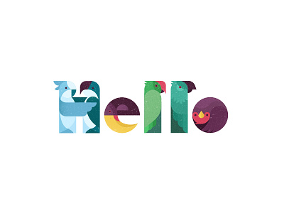 Hello Dribbble! bird birds hello parrots