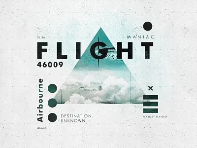 Flight 46009 (Blue) aviation flight layout plane symbol texture type typography vintage