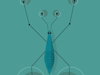 Water Skeeter blue bug circles green illustration pond skater water water skeeter