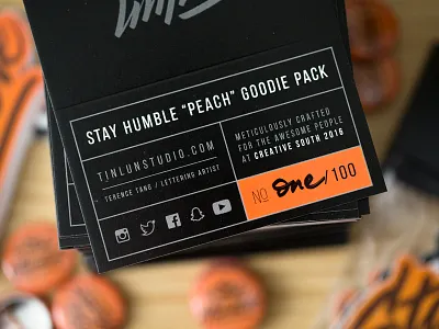 Creative South '16 Goodie Pack calligraphy lettering package design packaging product