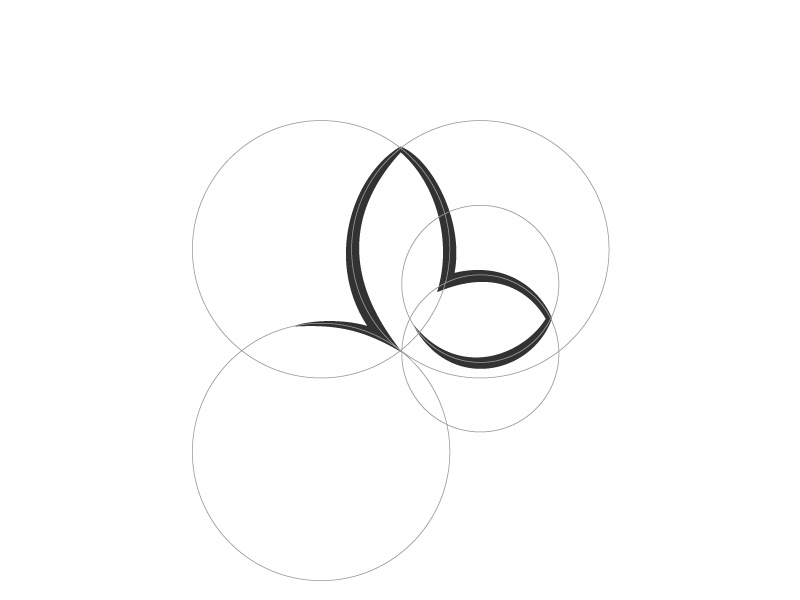 Example of Butterfly