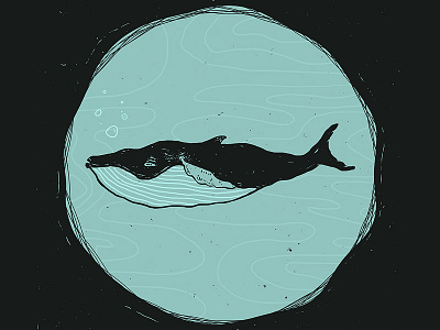 Hump Day Whale animal drawing hand drawn humpback illustration ocean water whale