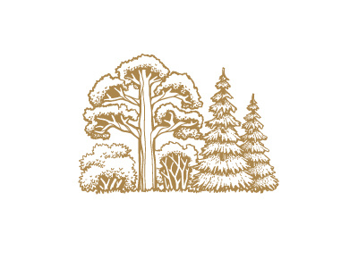 Teaser bushes cottage village forest perfect pixel teaser trees