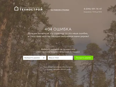 404 404 eco error samara tree web wood
