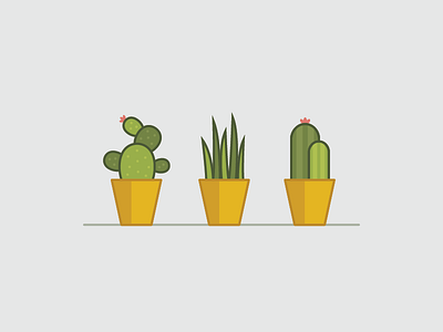 Plants 'n pots cactus flower grass houseplants illustration plants pots spring succulents