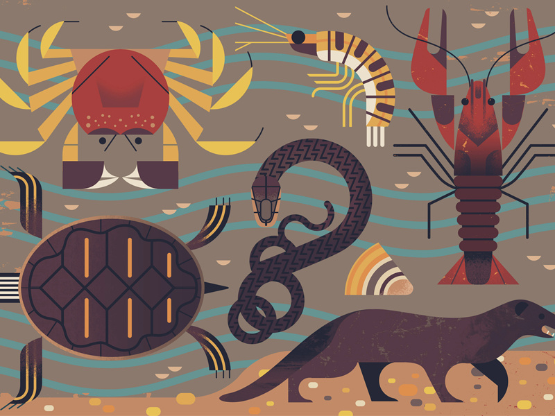 Shot by #<User:0x000076e05b941418>